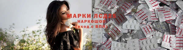гидра Гусиноозёрск