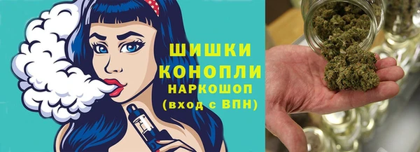 крисы Гусев