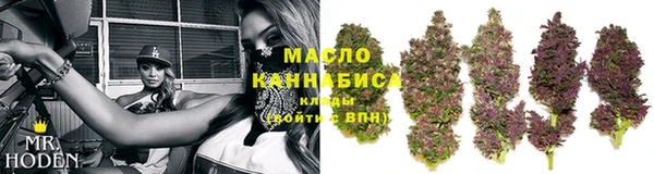 гидра Гусиноозёрск