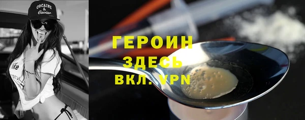 гидра Гусиноозёрск