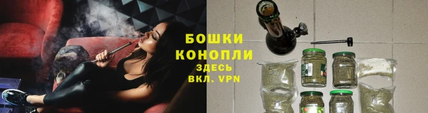 ешки Гусь-Хрустальный