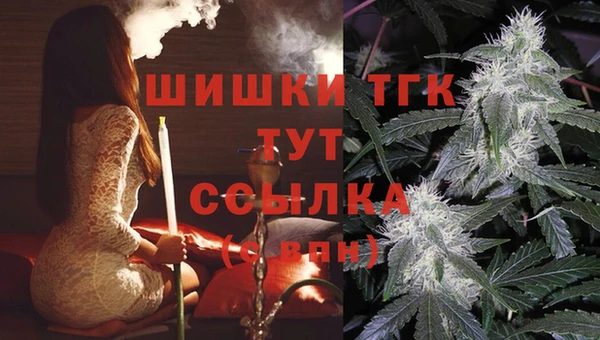 ешки Гусь-Хрустальный