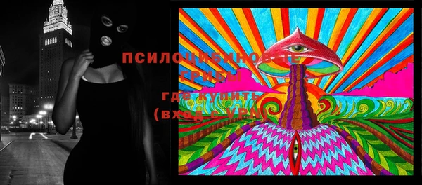 крисы Гусев