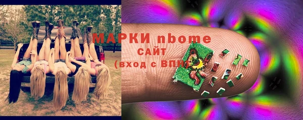 ешки Гусь-Хрустальный