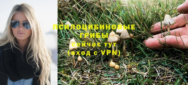ешки Гусь-Хрустальный