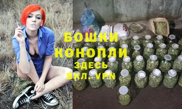 гидра Гусиноозёрск
