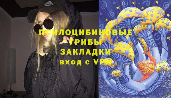 гидра Гусиноозёрск