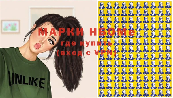 ешки Гусь-Хрустальный