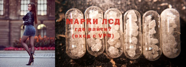 крисы Гусев