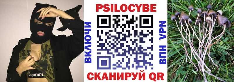 даркнет сайт  Сосенский  Галлюциногенные грибы мицелий 